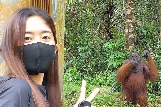 Orangutan Tour Tanjung Puting 3D2N - Orangutan Tour Tanjung Puting 3D2N: A Closer Look at Borneo’s Primate Paradise