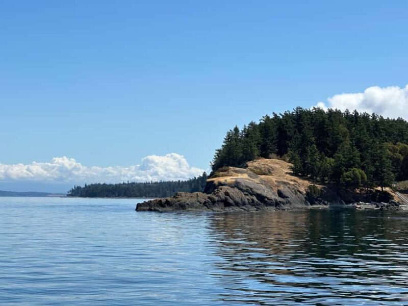 Orcas Island: Wildlife Spotting Kayak Tour - A Closer Look at the Orcas Island Wildlife Kayak Tour