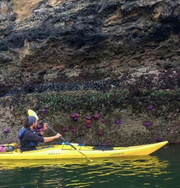 Orcas Island: Wildlife Spotting Kayak Tour - Authentic Reviews and What They Tell Us