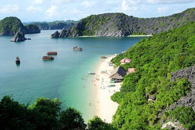 Orchid Cruises Halong Bay 2Day/1Night on 5 Star - Staff & Service: Knowledgeable & Attentive