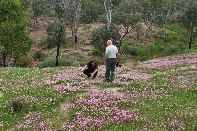 Orchids and Wildflowers Photographic Day tour from Perth - Final Thoughts: Is This Tour Right for You?