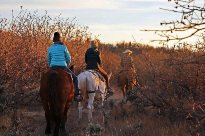 Orderville: Checkerboard Evening Shadow Horseback Ride - The Experience in Detail