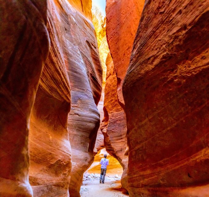Orderville: East Zion Park White Mountain Horseback Tour - Key Points