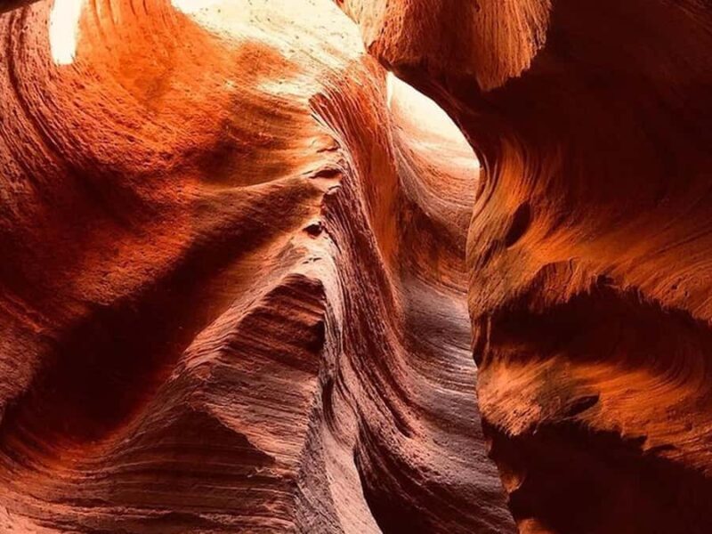 Orderville: East Zion Slot Canyons Award-Winning UTV Tour - Key Points