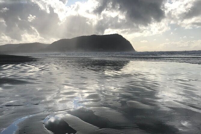 Oregon Coast Scenic Day Tour - An Authentic Look at the Oregon Coast Scenic Day Tour