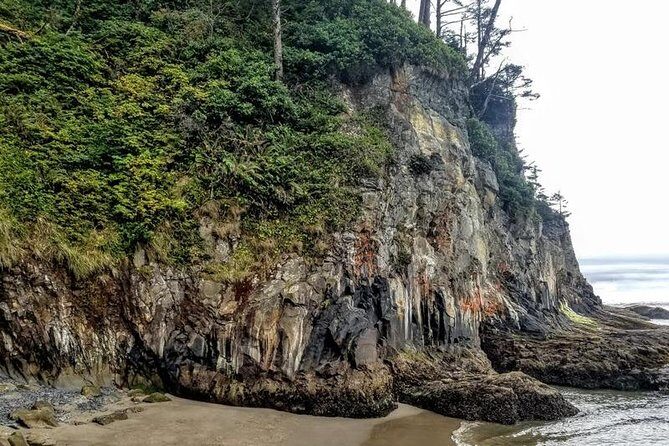 Oregon Coast Tour and Wine Tasting From Portland- Full Day Tour - Final Thoughts