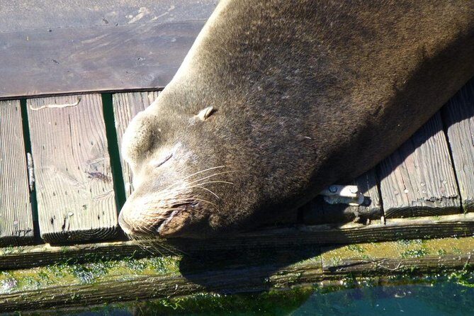 Oregon Coastal Tour: Florence to Yachats - A Closer Look at the Itinerary