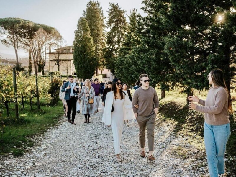 Organic and Biodynamic Winery Tour and Tasting in Lucca - Beyond the Basics: Why This Tour Stands Out