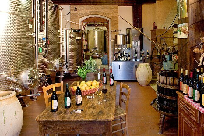 Organic Family Winery Experience in Liguria - A Deeper Look at the Experience