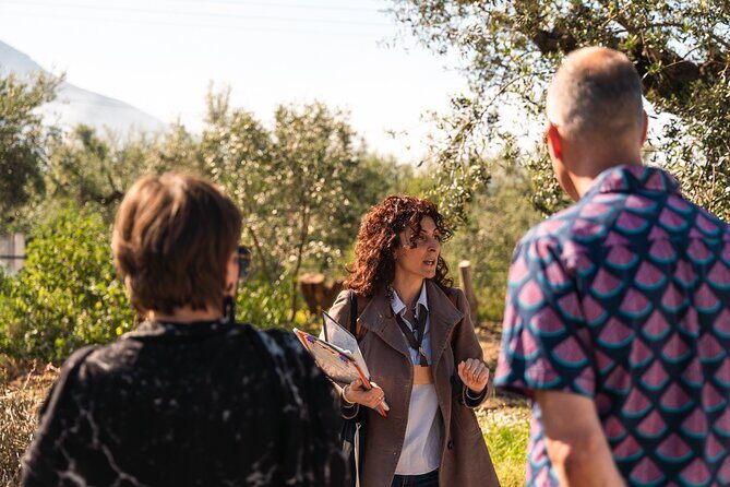 Organic Olive Grove tour & Olive oil tasting & lunch in Kalamata! - An In-Depth Look at the Tour Experience