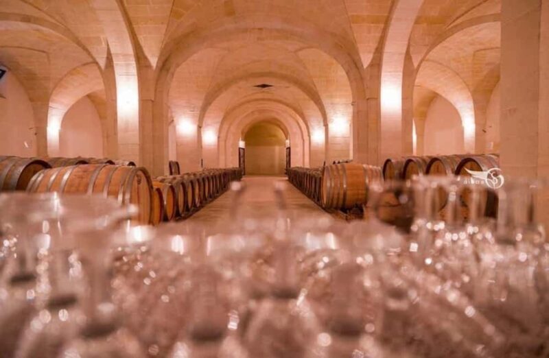 Organic Wine and Olive Oil Tasting Experience near Lecce - Final Thoughts: Who Would Love This Tour?