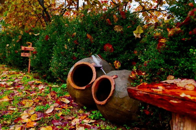 Organic Wine Full Day Private Tour With Tastings and Lunch - Frequently Asked Questions