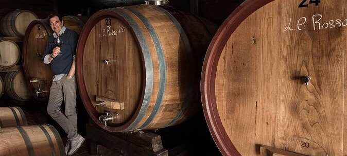 Organic Wine Tasting & Lunch Experience on Mt Vesuvius - A Detailed Look at the Experience