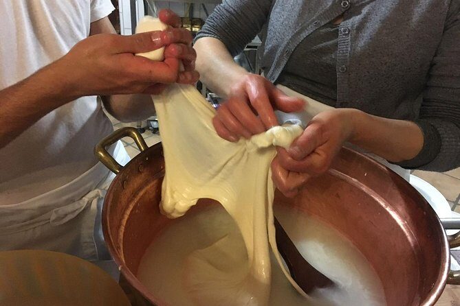 Organic Wine Tasting, Mozzarella, Gnocchi & Tiramisu Workshop - Real Guest Experiences: What People Are Saying