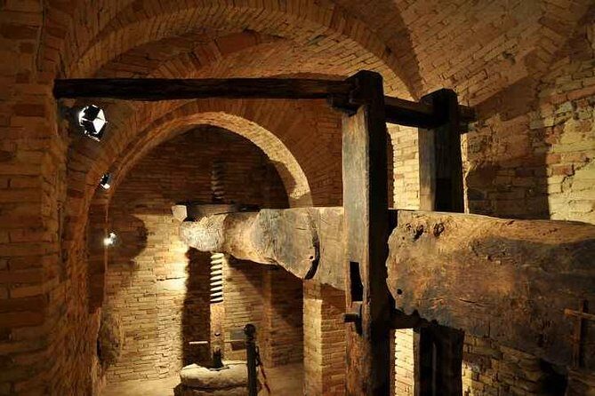 Organic Wine Tasting & tasting of EVO CantinArte OIL MUSEUM - What to Expect from the Tour