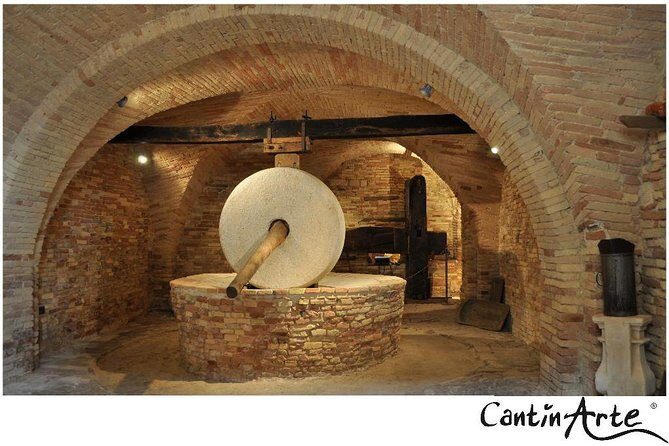 Organic Wine Tasting & tasting of EVO CantinArte OIL MUSEUM - The Practicalities: Price, Duration, and Booking