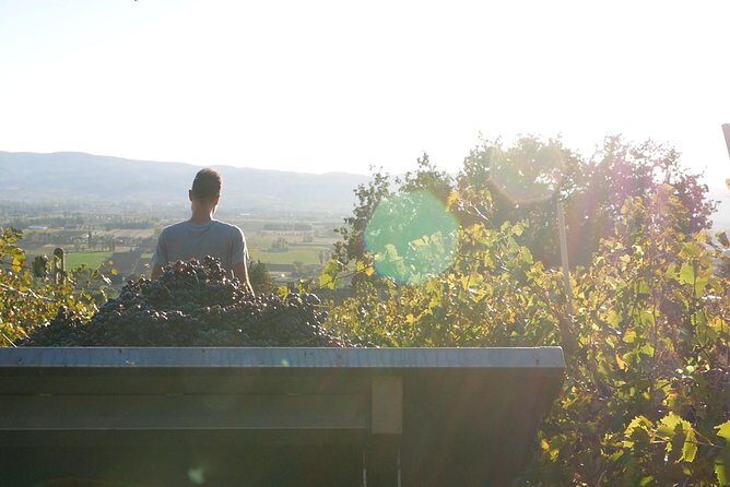 Organic Winery tour with Full Lunch from Assisi - Key Points