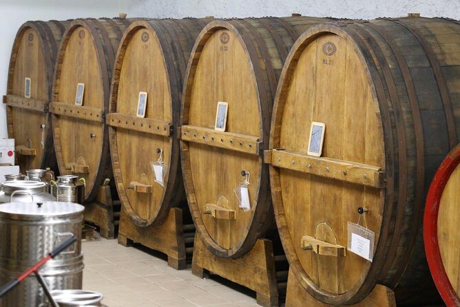 Organic Winery tour with Full Lunch from Assisi - Exploring the Tour in Detail