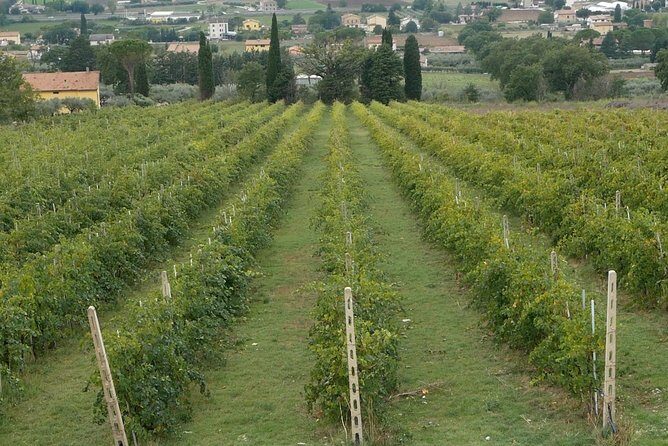 Organic Winery tour with Full Lunch from Assisi - Frequently Asked Questions