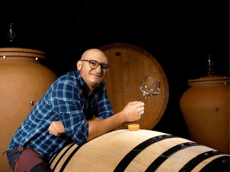 Organic Winery Visit near Turin with Wine & Food Tasting - Organic Winery Visit near Turin with Wine & Food Tasting: An In-Depth Review