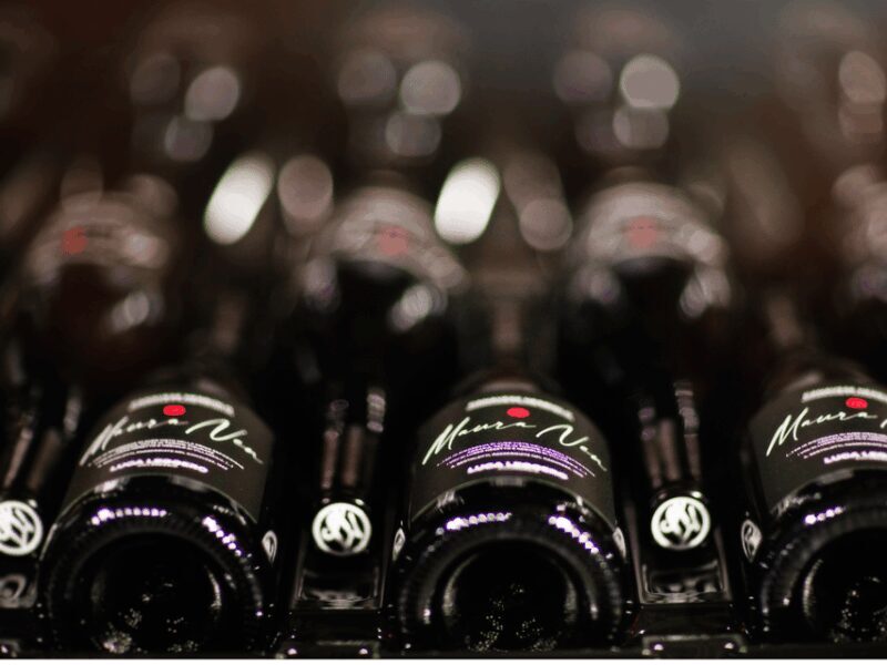 Organic Winery Visit near Turin with Wine & Food Tasting - Authenticity & What Sets It Apart