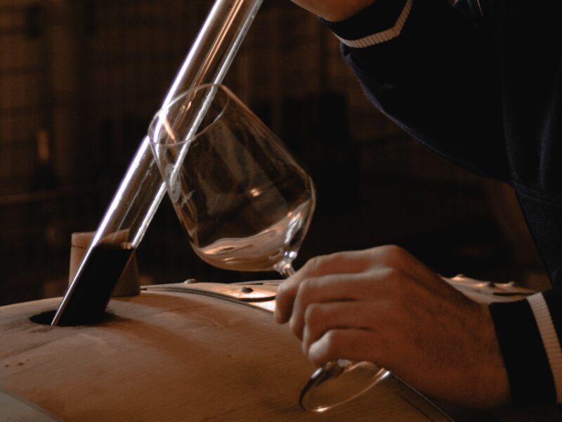 Organic Winery Visit & Wine Tasting with Food in Pavia - Final Thoughts