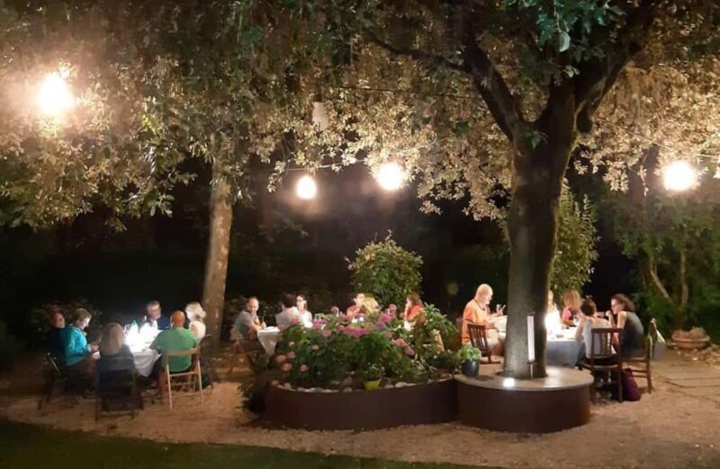 Organic Winery Visit with Wine & Food Tasting in Bologna - Key Points