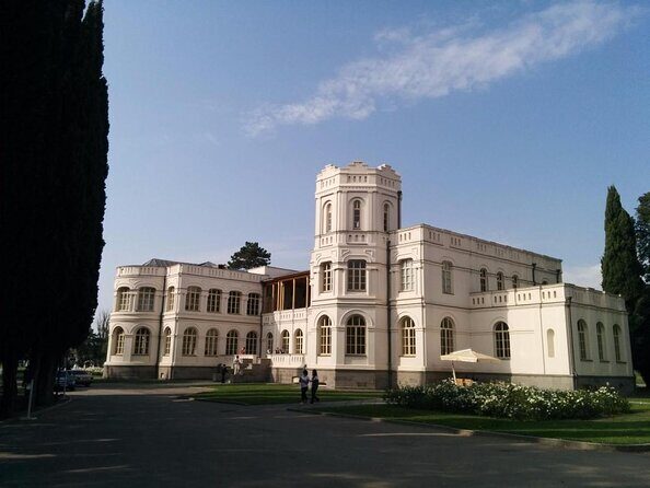 Organic wines of Mtskheta - private tour with lunch and wine tastings - Key Points