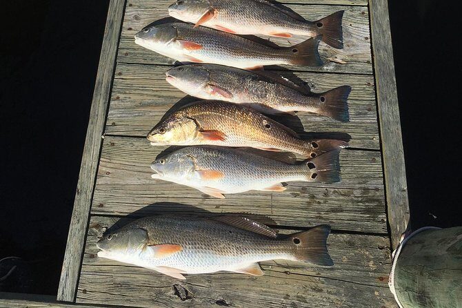 Oriental Neuse River Fishing Trips & Scenic Tours - Who Will Love This Tour?