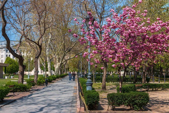 Orientation walk in Budapest - Real-World Insights from Reviews