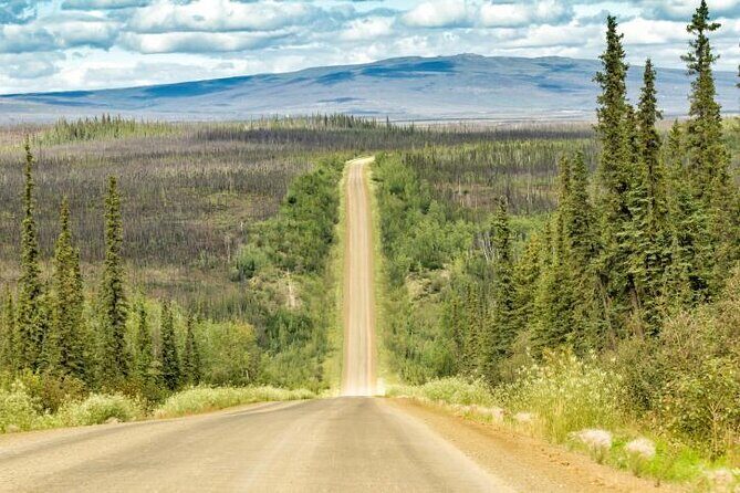 Original Arctic Circle Drive from Fairbanks - Discover the Arctic Without Camping in Coldfoot: A Fairbanks Arctic Circle Drive