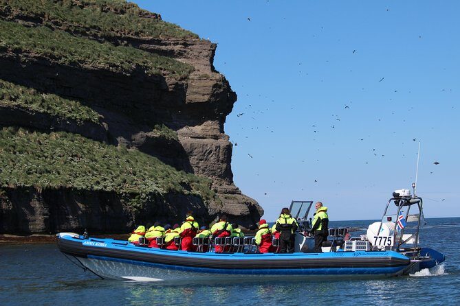 Original Big Whale Safari & Puffins Speedboat Tour from Húsavík - Frequently Asked Questions