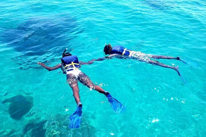 Original Snorkel and Sandbar Combo in Islamorada - Key Points