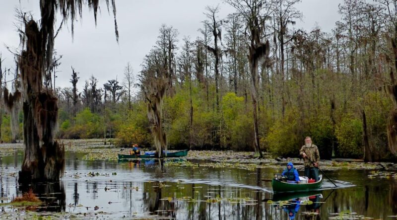 Orlando Alligator Experience: Day-Trip From Orlando - FAQ