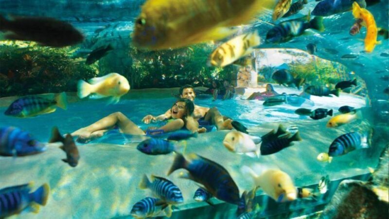 Orlando: Aquatica Water Park Admission Ticket - Key Points