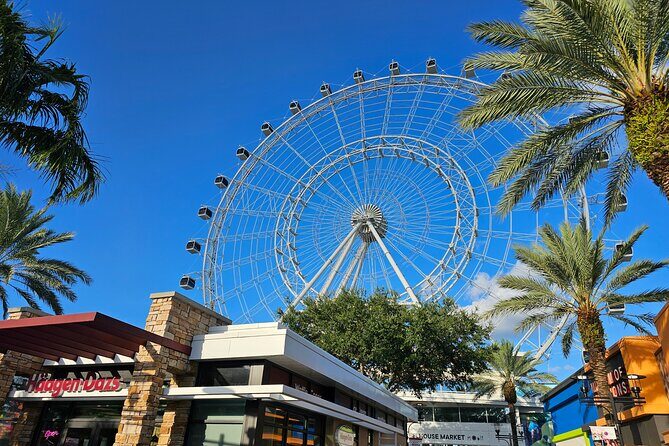 Orlando Area 5 Day Self Guided Disney Save Tour & More - Authentic Insights from Review Feedback