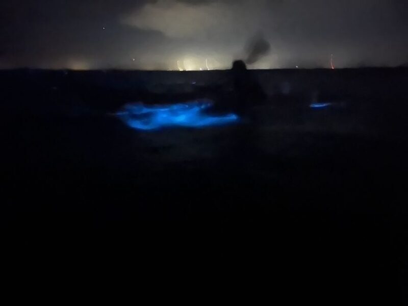 Orlando: Bioluminescence Kayak Adventure - What’s Included and Practical Details