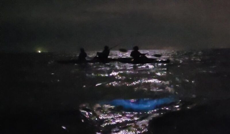 Orlando: Bioluminescence Kayak Adventure - Authentic Experiences from Reviewers