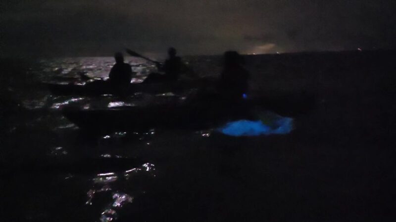 Orlando: Bioluminescence Kayak Adventure - Who Will Love This Tour?