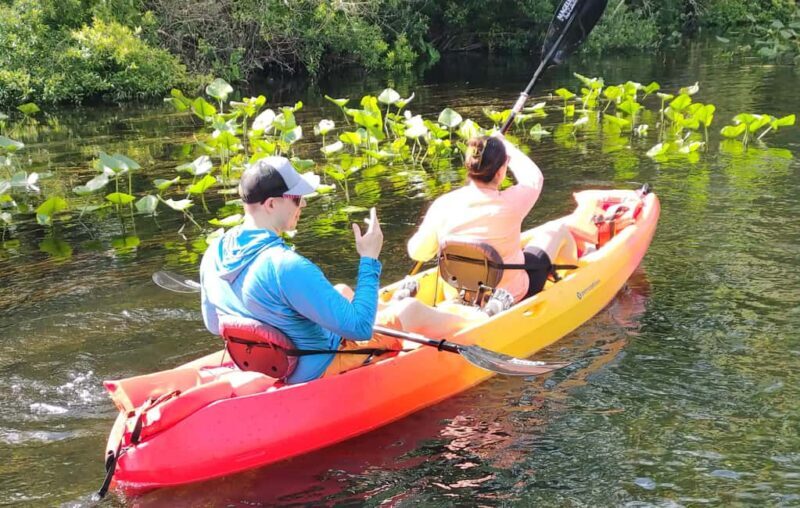 Orlando: Blue Springs Manatee Kayak Tour - Final Thoughts