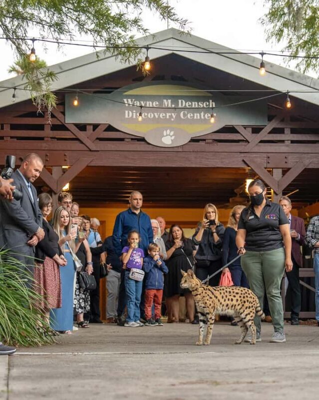 Orlando: Central Florida Zoo and Botanical Gardens Ticket - An In-Depth Look at the Central Florida Zoo and Botanical Gardens Experience