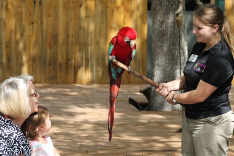 Orlando: Central Florida Zoo Skip-the-Line Ticket - The Sum Up