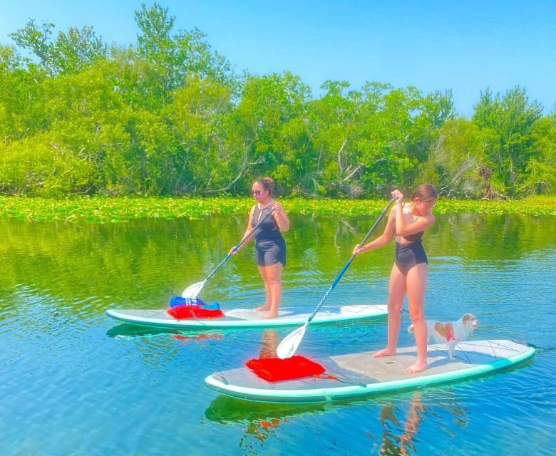 Orlando: Clear Kayak and Paddleboard 2-Hour Rental - Why This Experience Offers Good Value