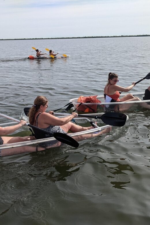 Orlando: Dolphin Clear Kayak or Paddle Board Adventure - The Sum Up