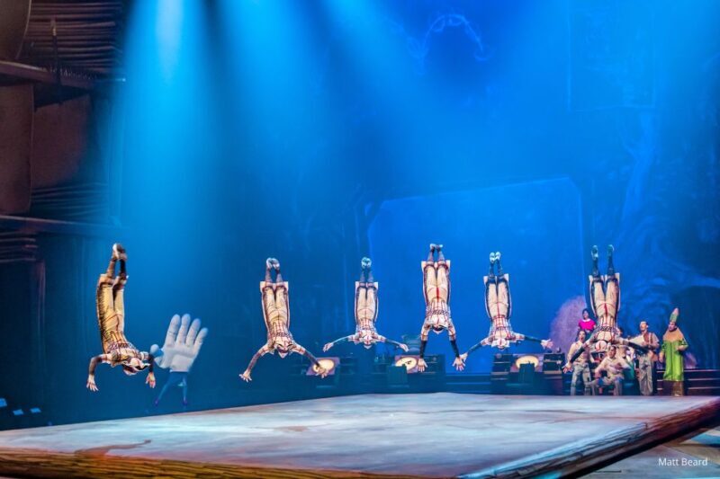Orlando: "Drawn to Life" Cirque du Soleil Entry Pass - Who Will Love This Experience?