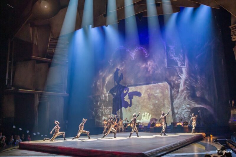 Orlando: "Drawn to Life" Cirque du Soleil Entry Pass - FAQ