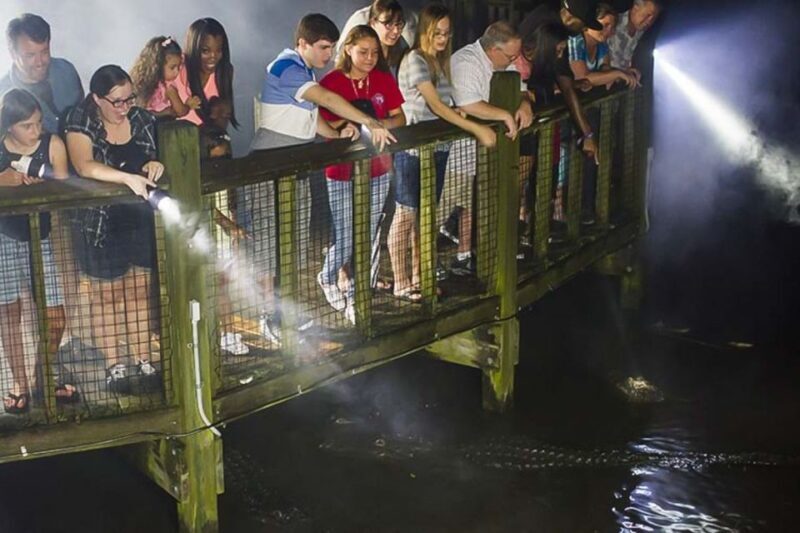 Orlando: Gatorland Flashlight Tour at Night - Orlando: Gatorland Flashlight Tour at Night — A Detailed Review