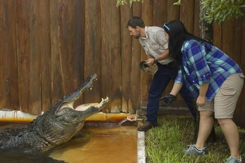 Orlando: Gatorland Interactive Tour with Animal Trainer - In-Depth Look at the Tour Experience