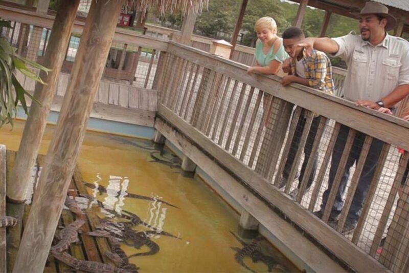 Orlando: Gatorland Interactive Tour with Animal Trainer - Authentic Insights from Past Guests