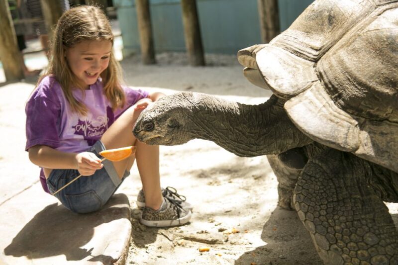 Orlando: Gatorland Skip-the-Line Ticket - Key Points
